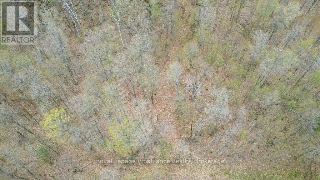 2611 RIVER ROAD