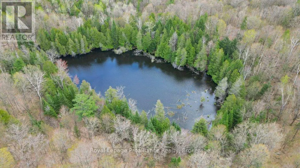 2611 RIVER ROAD
