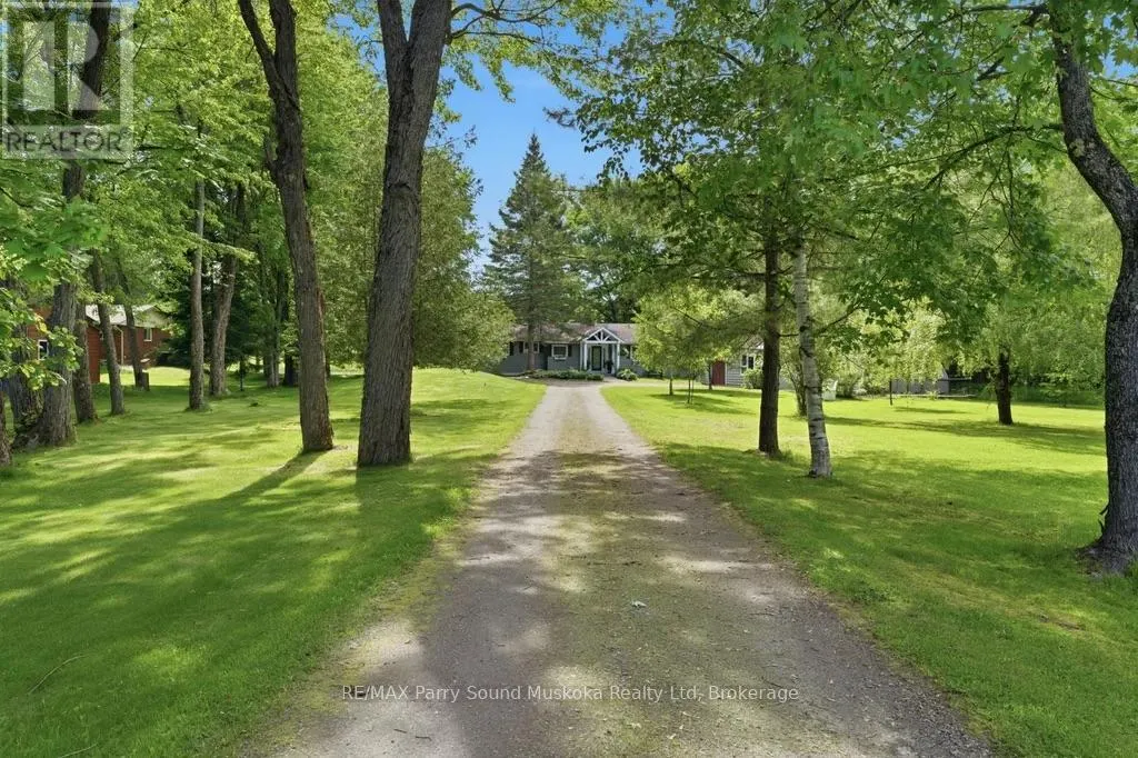 49 MAPLE STREET
