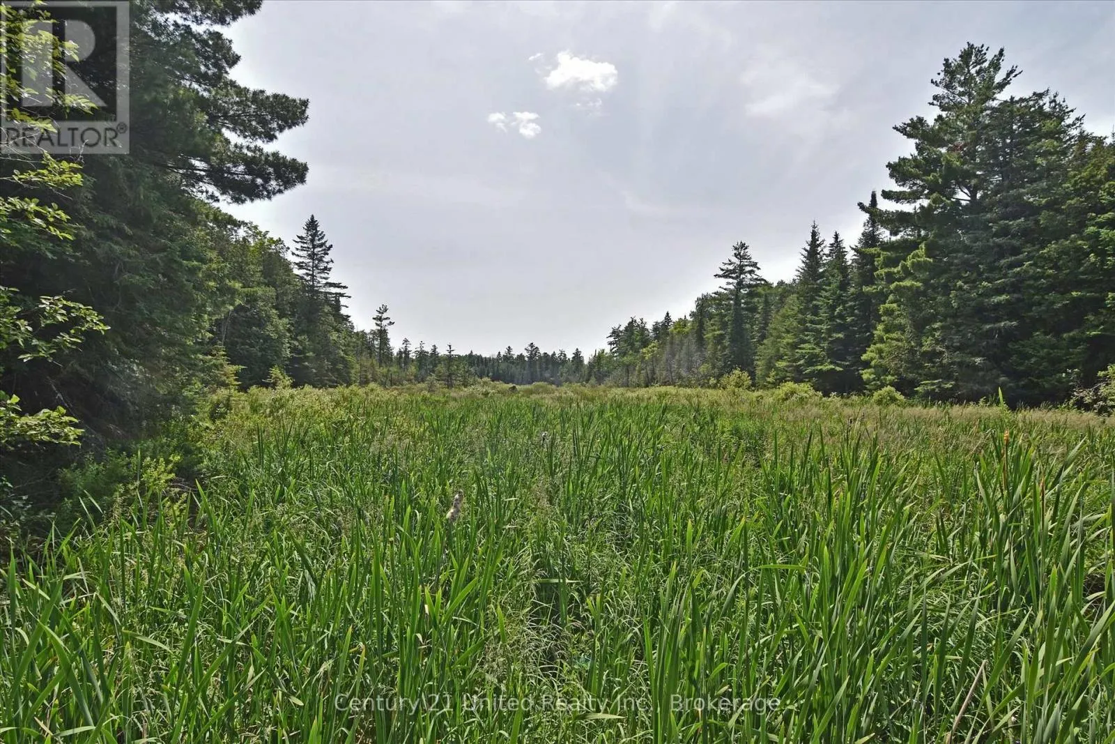 707 S DUMMER 8TH LINE ROAD
