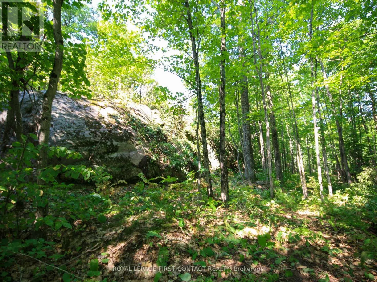 213 BIRCH ACRES DRIVE