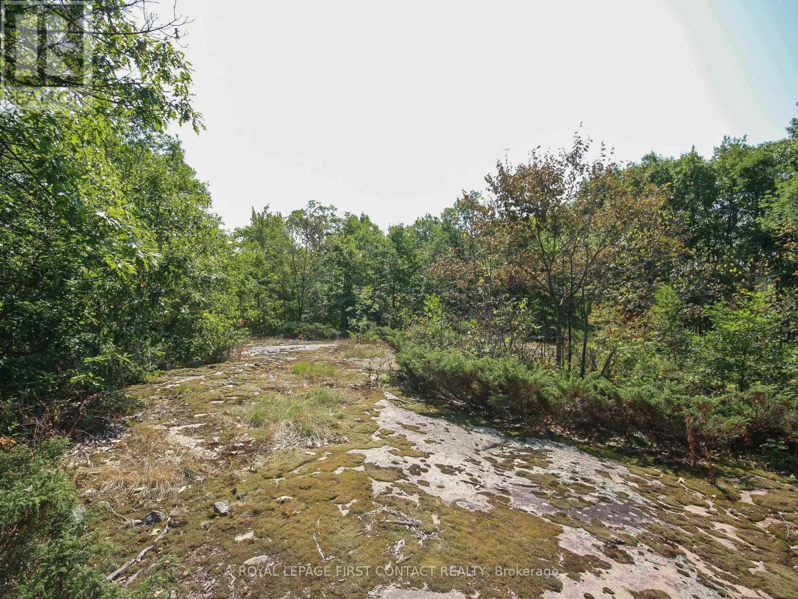 213 BIRCH ACRES DRIVE