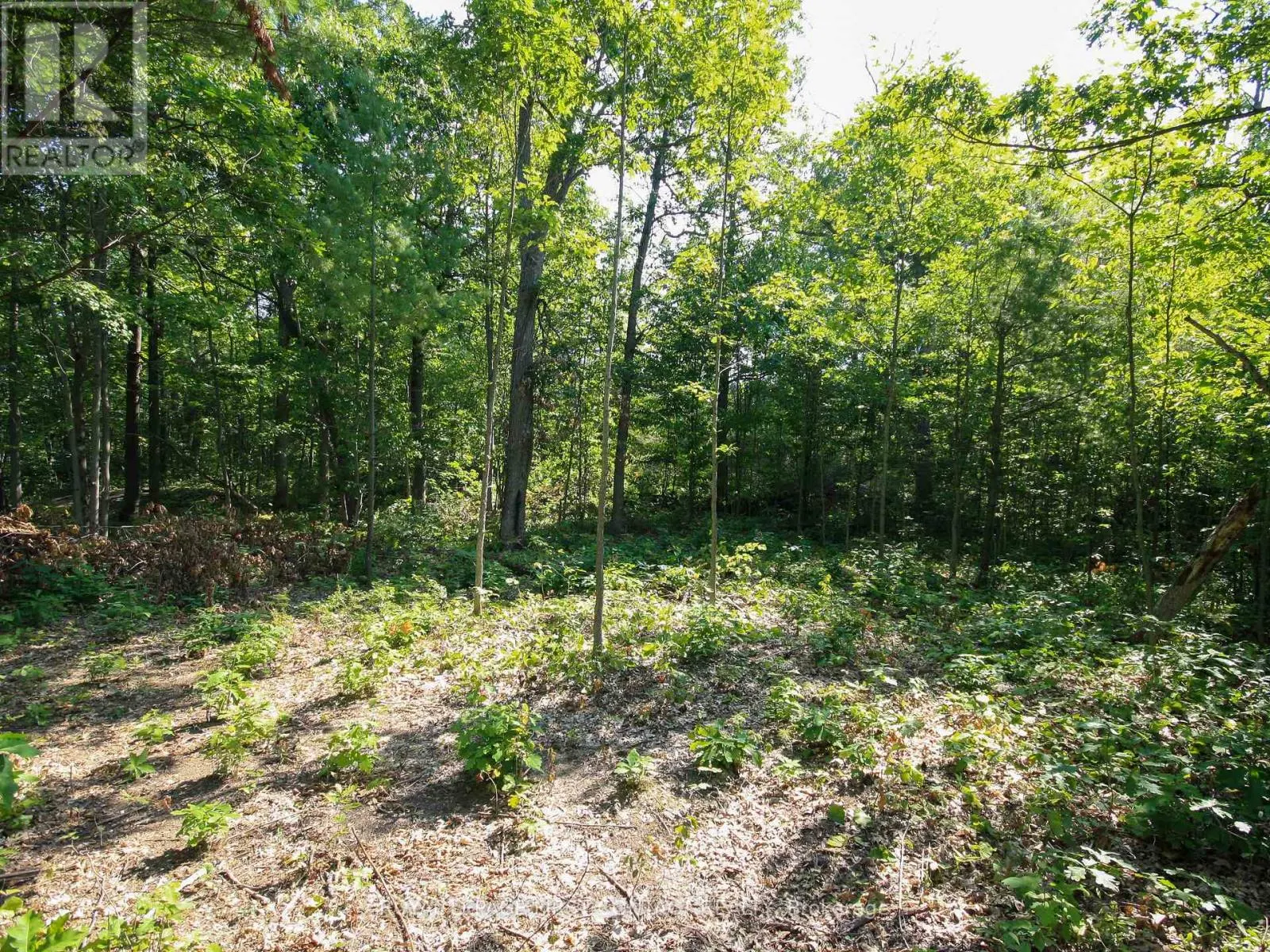 213 BIRCH ACRES DRIVE