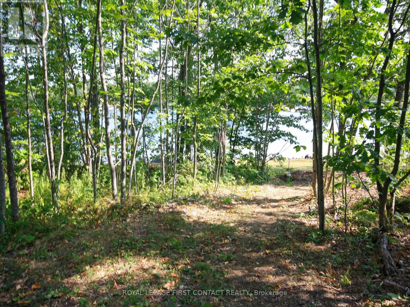 213 BIRCH ACRES DRIVE