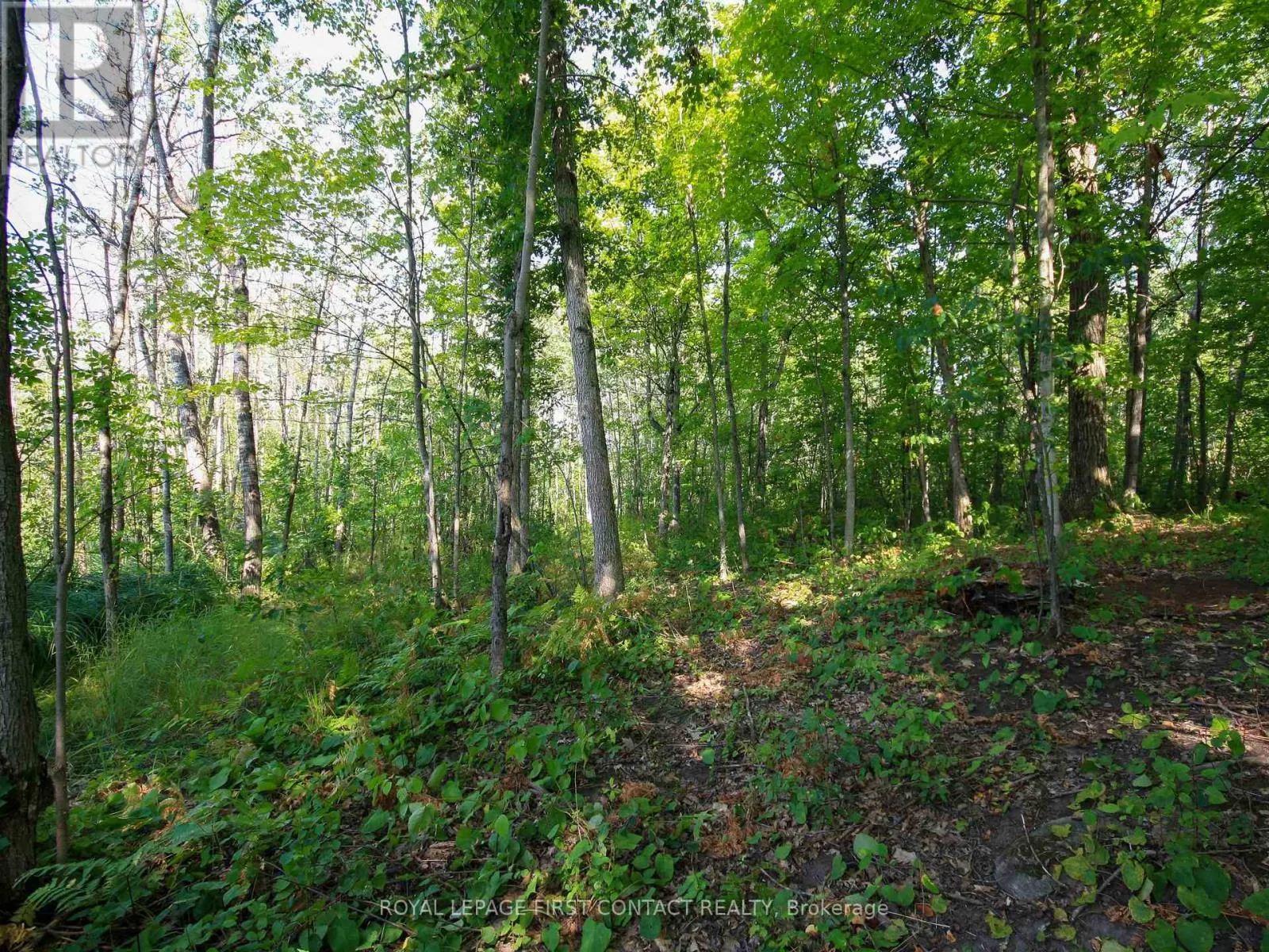 213 BIRCH ACRES DRIVE