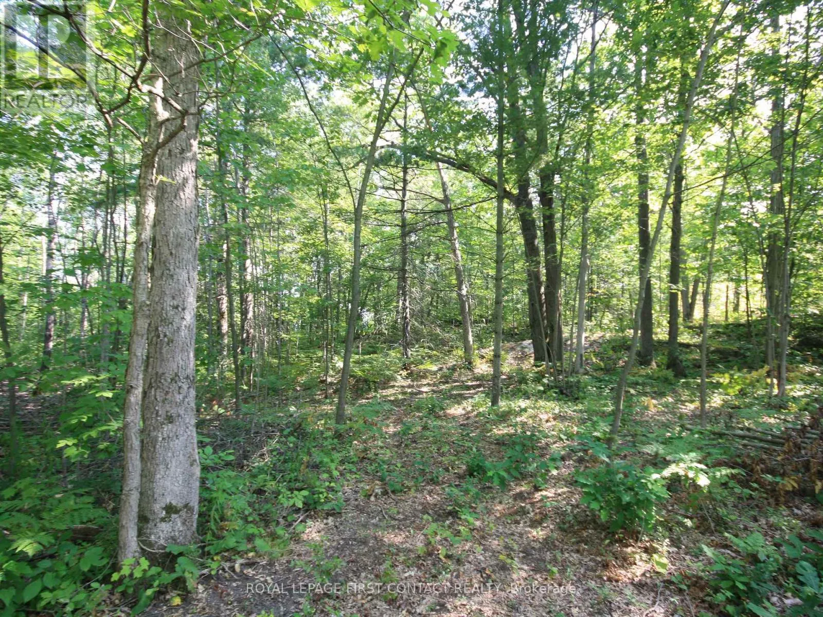 213 BIRCH ACRES DRIVE