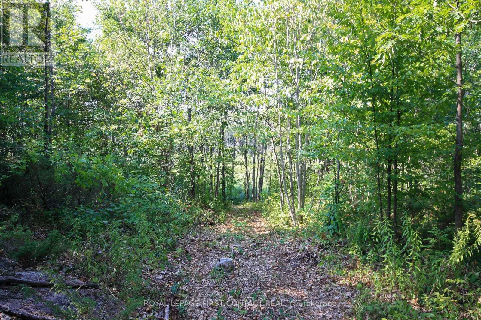 213 BIRCH ACRES DRIVE