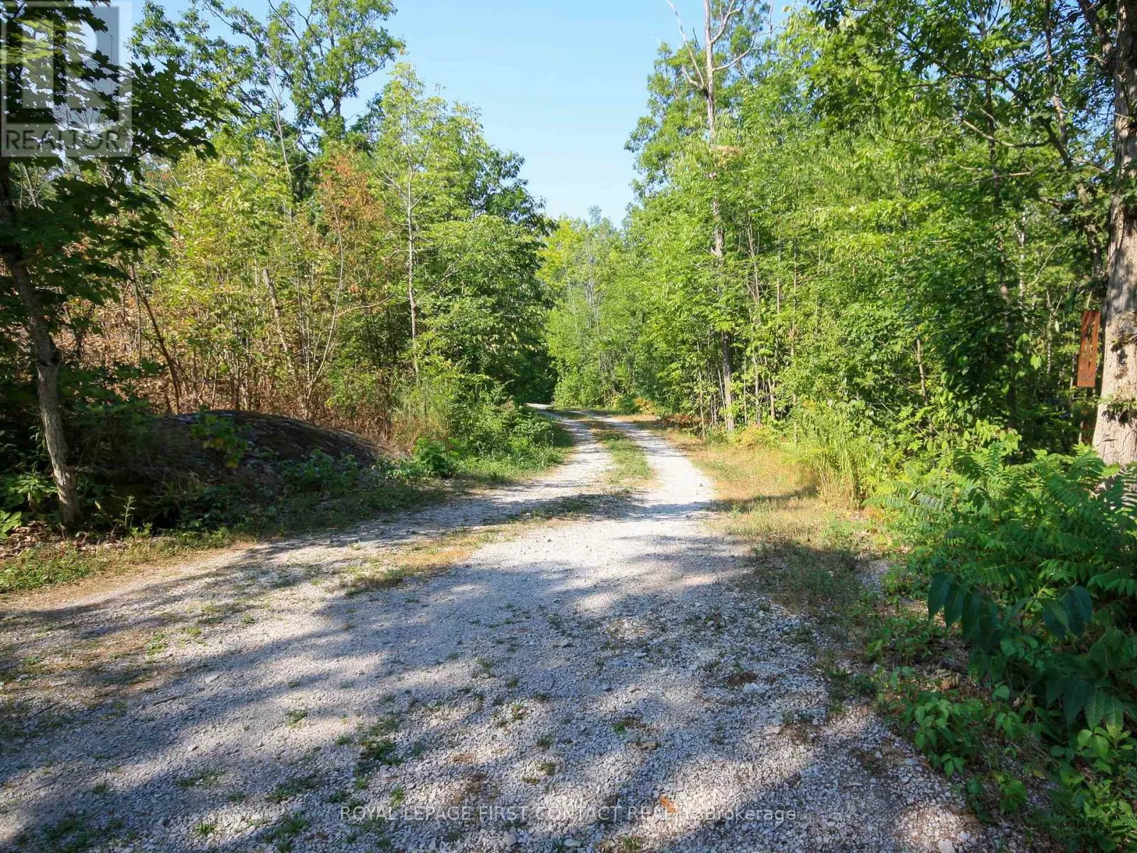 213 BIRCH ACRES DRIVE
