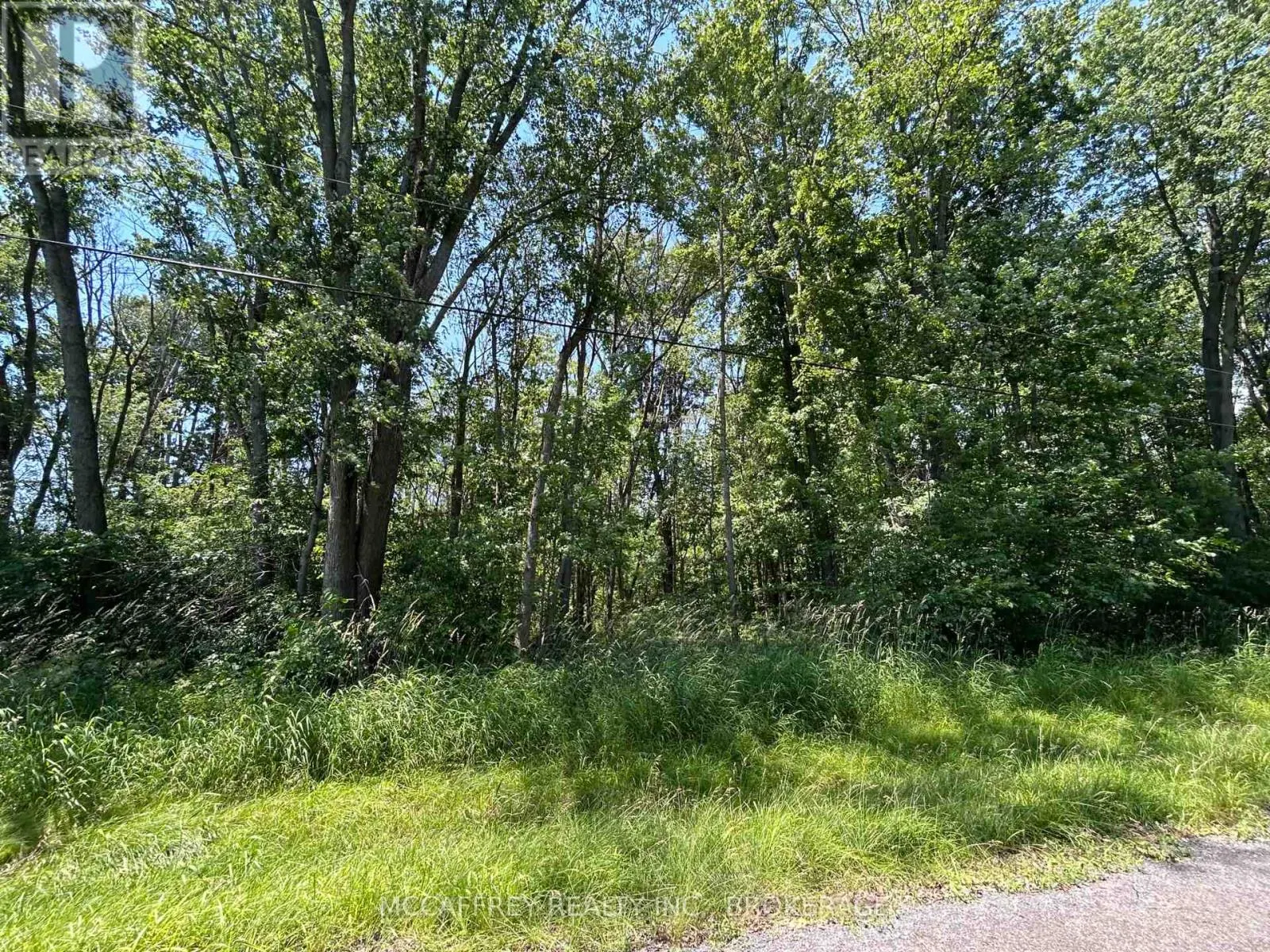 358 TOWNLINE ROAD