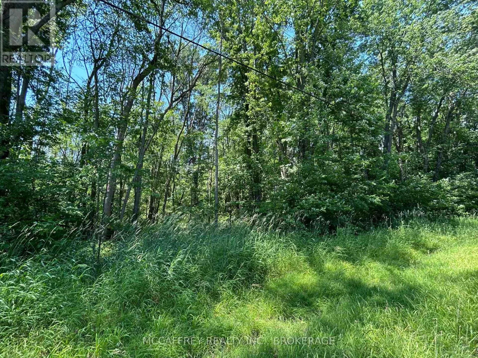 358 TOWNLINE ROAD