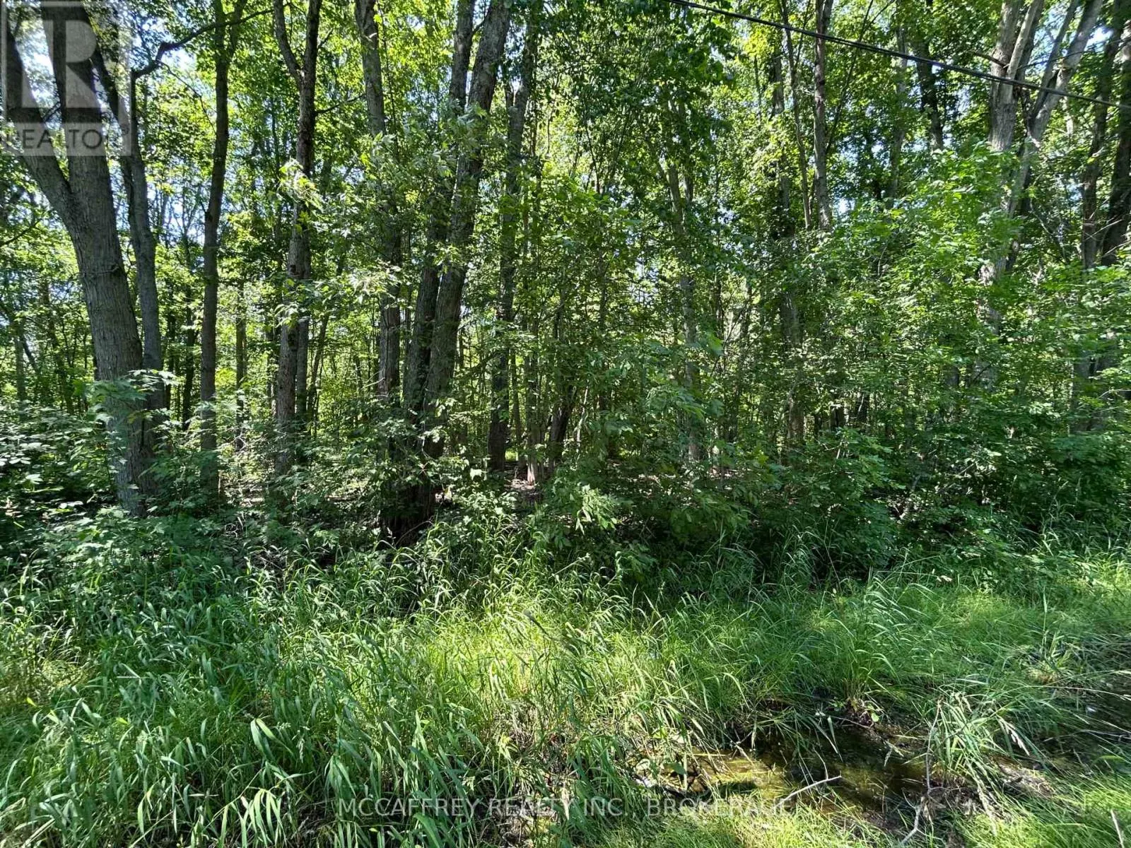 358 TOWNLINE ROAD