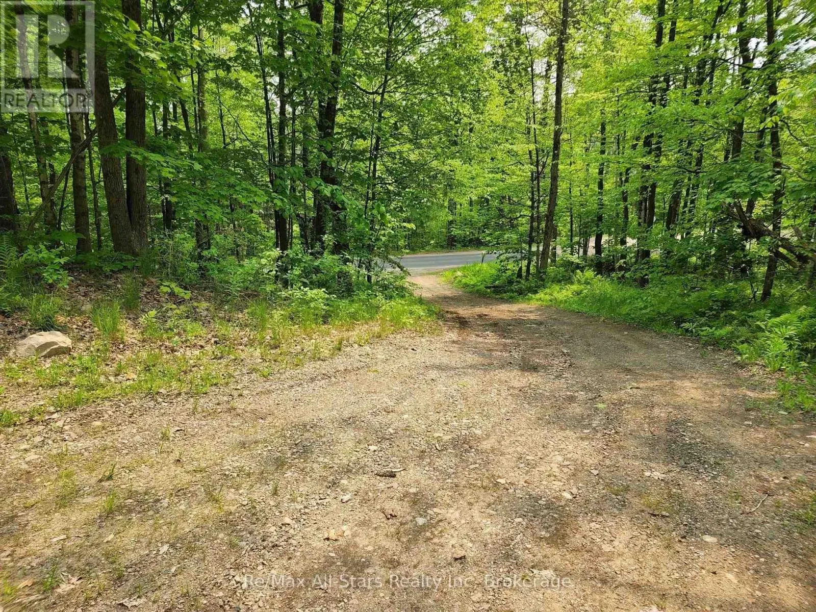 1028 RONVILLE ROAD