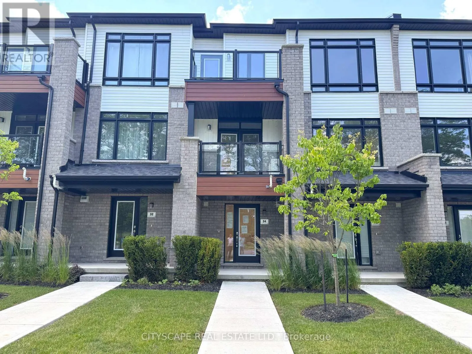 34 SIDNEY ROSE COMMON