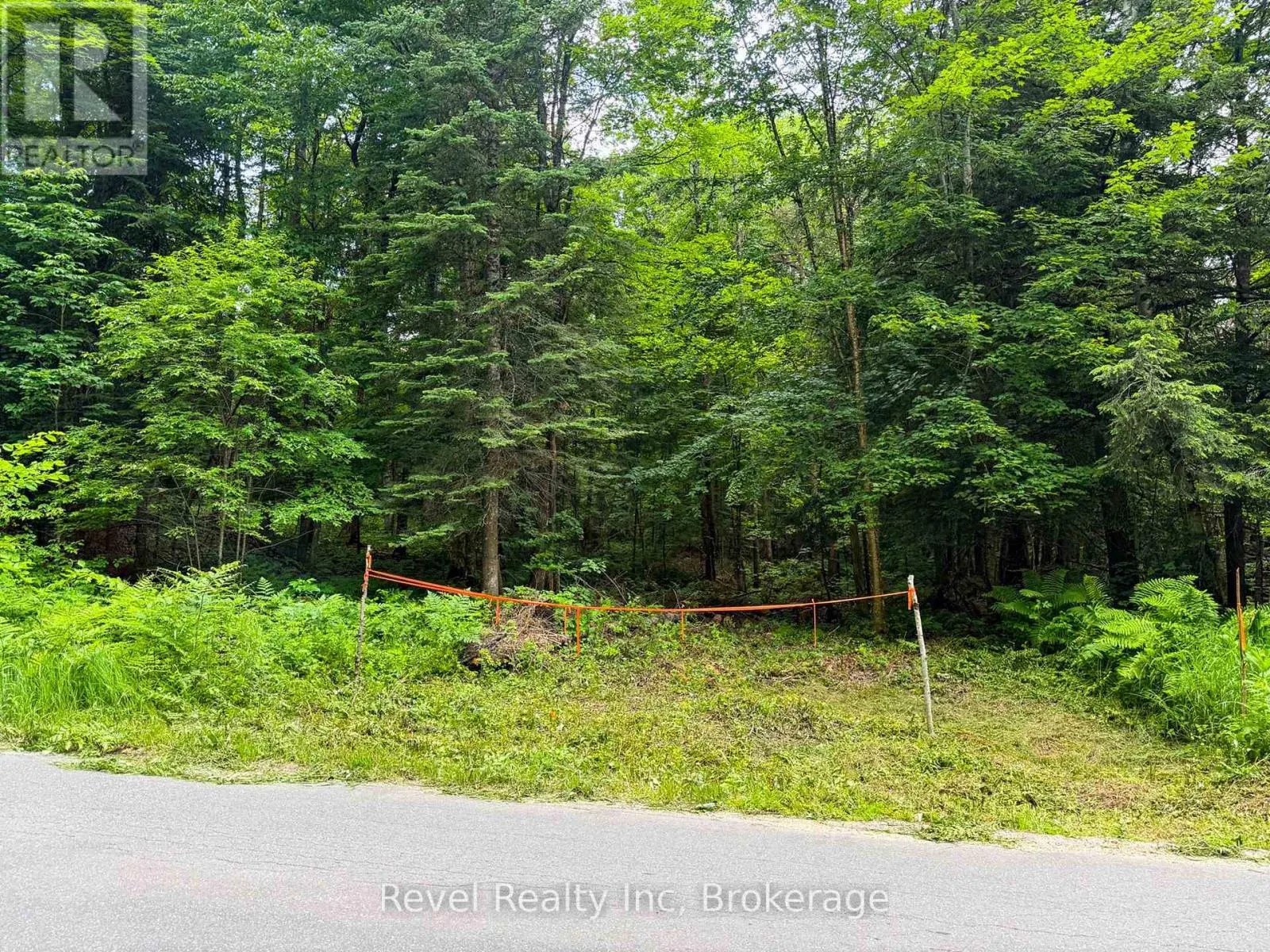 LOT 1 BIRD LAKE ROAD