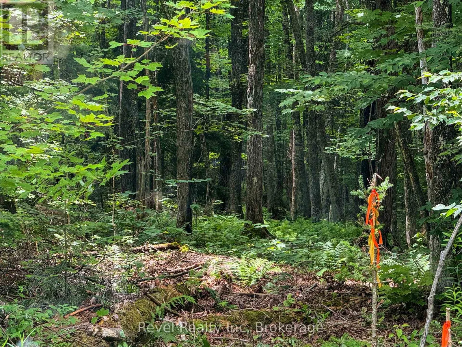 LOT 1 BIRD LAKE ROAD