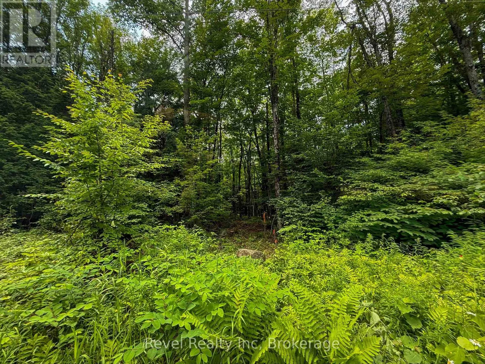 LOT 1 BIRD LAKE ROAD