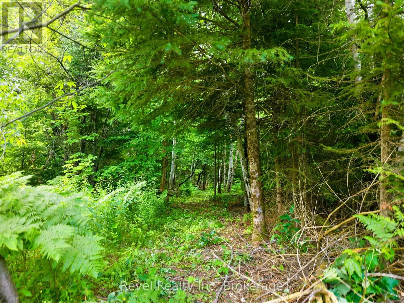 LOT 2 BIRD LAKE ROAD