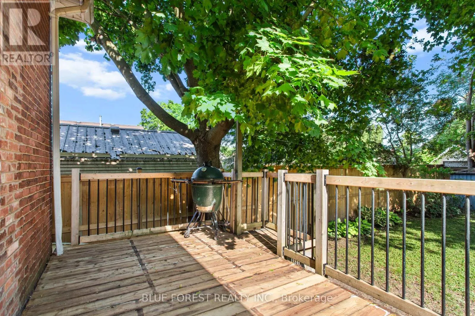 295 BULLER STREET