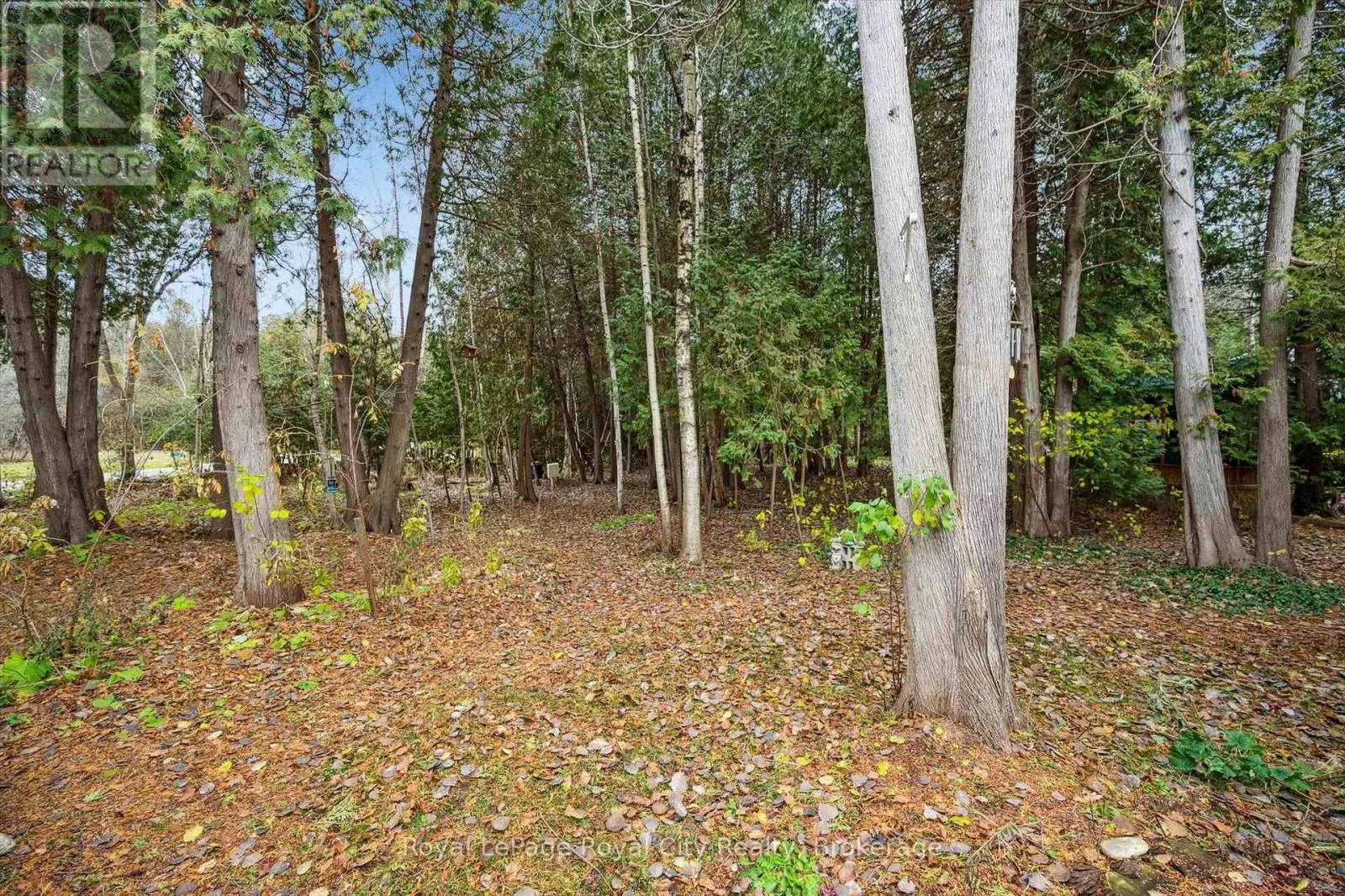 10 SPRUCE AVENUE