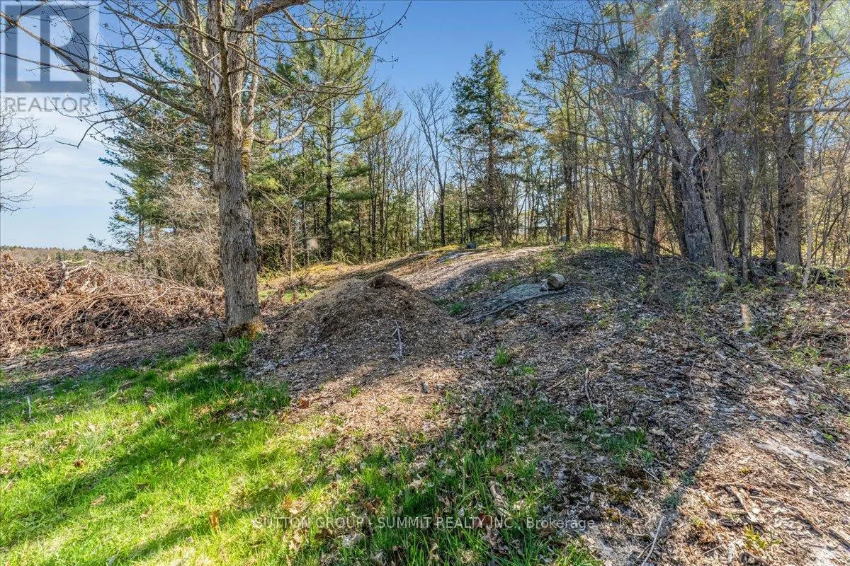 49 PINERIDGE DRIVE