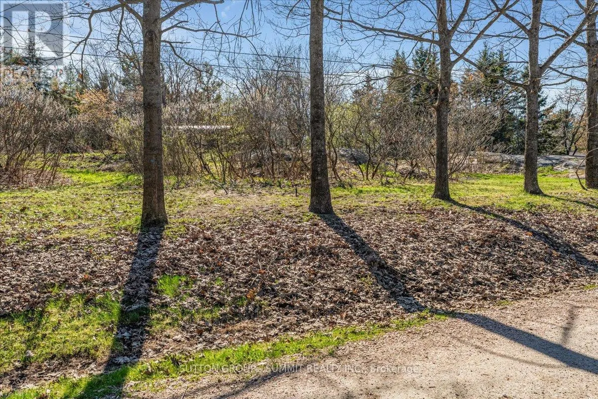 49 PINERIDGE DRIVE
