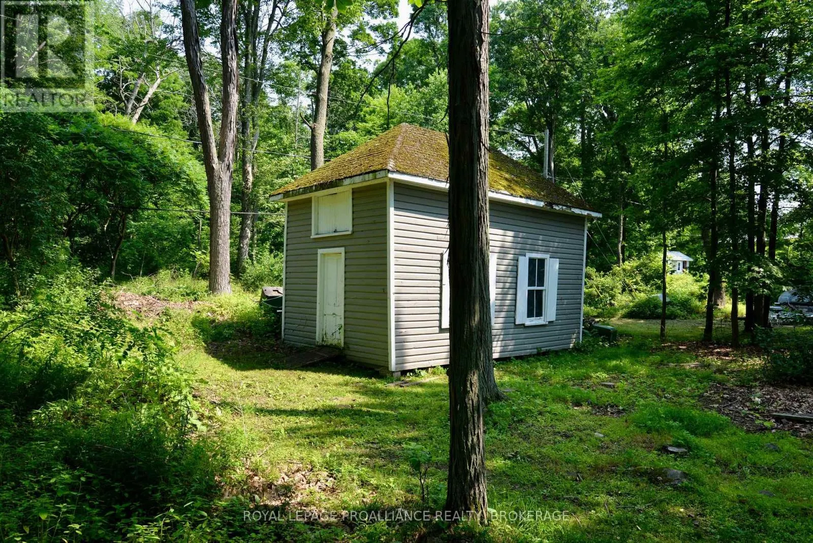 121 TREMONT PARK ISLAND