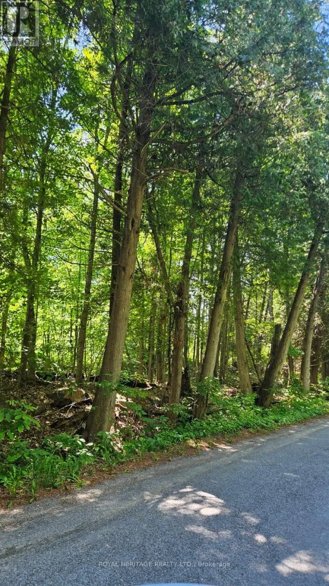 21-B MILL LINE ROAD