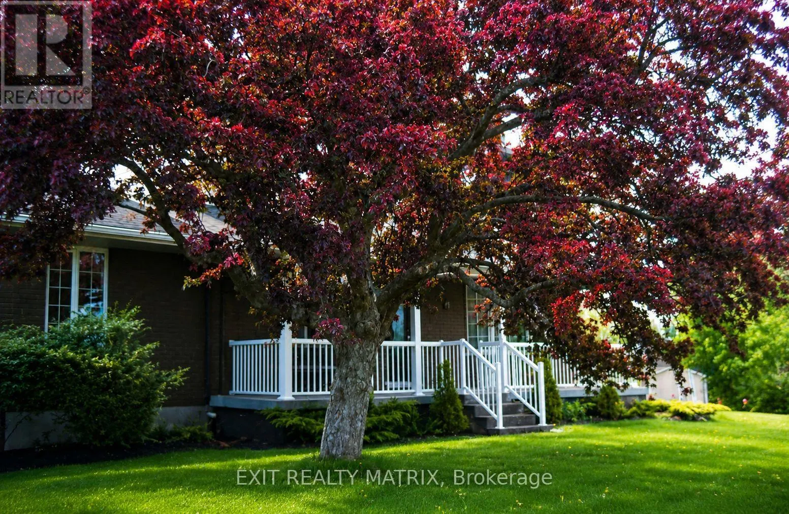 18203 KENYON 19 CONCESSION