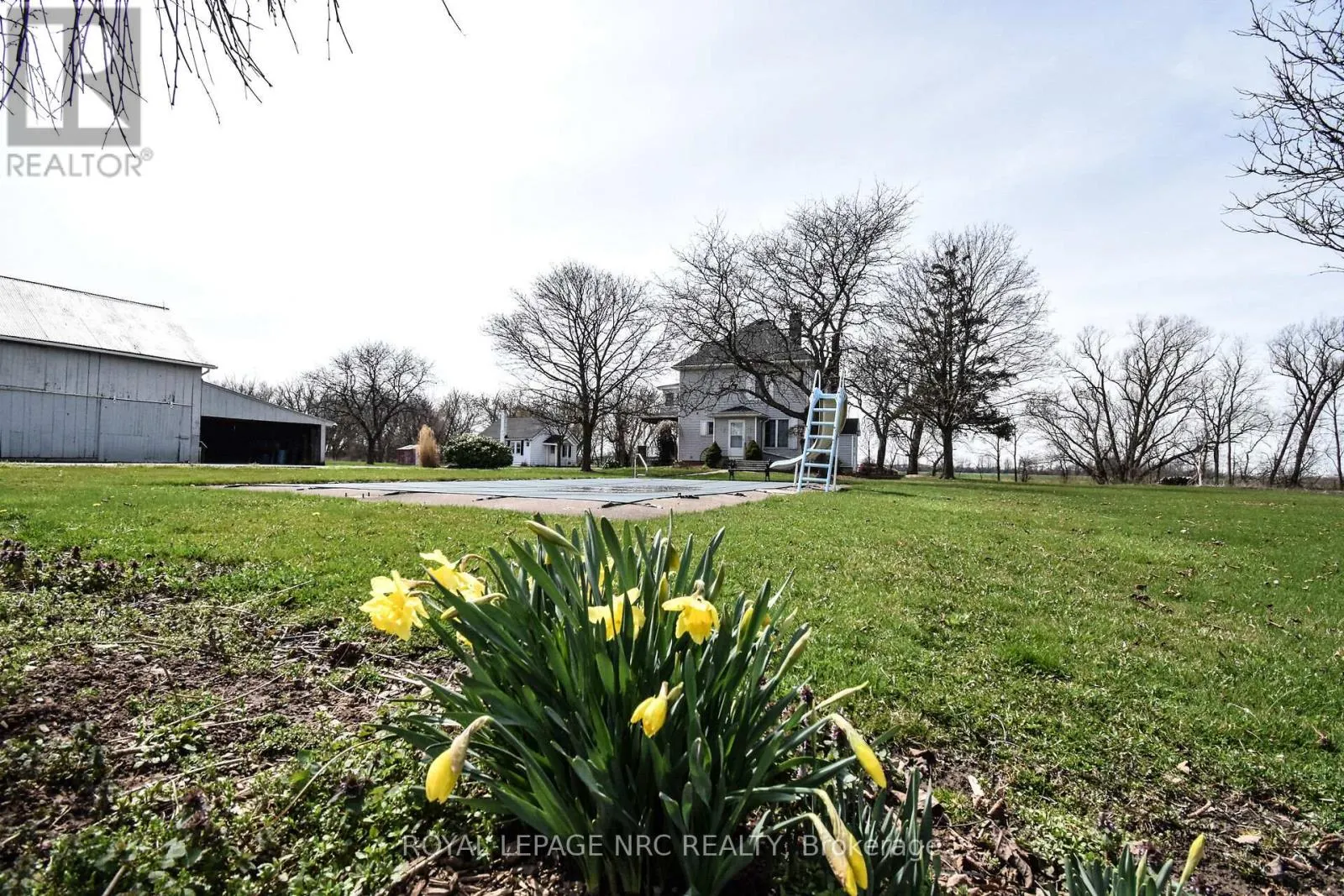 499 TOWNLINE ROAD