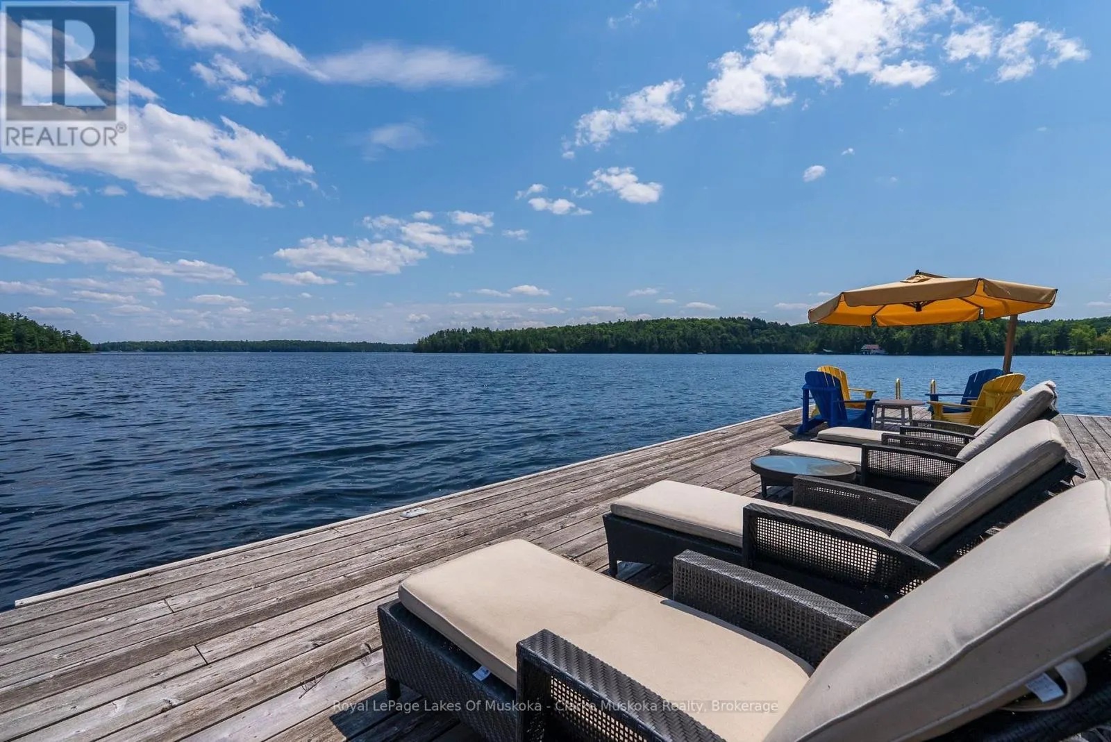 5 - 1019 BLUFF ROAD #5