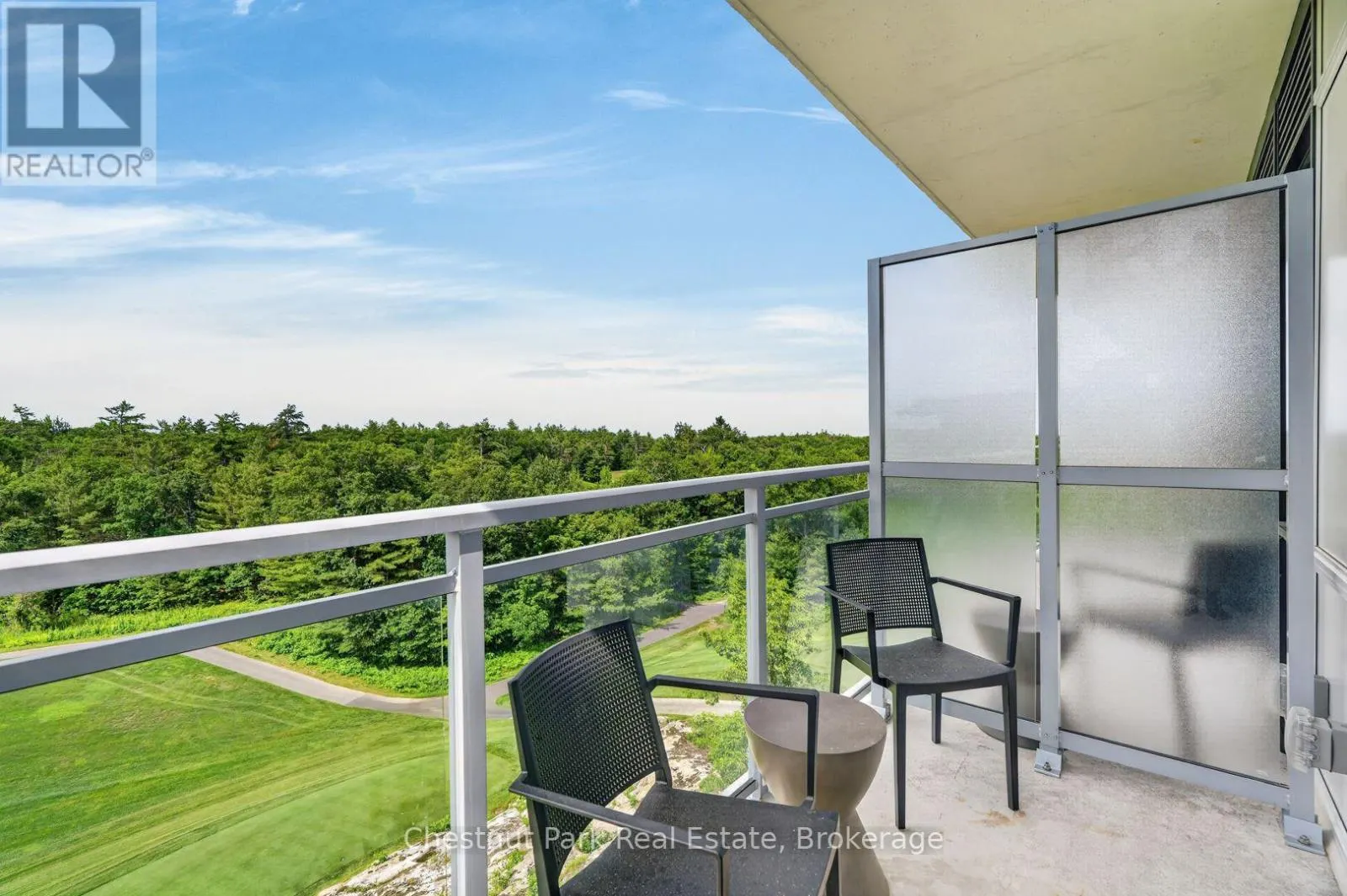 #513 - 100 CARRICK TRAIL ##513