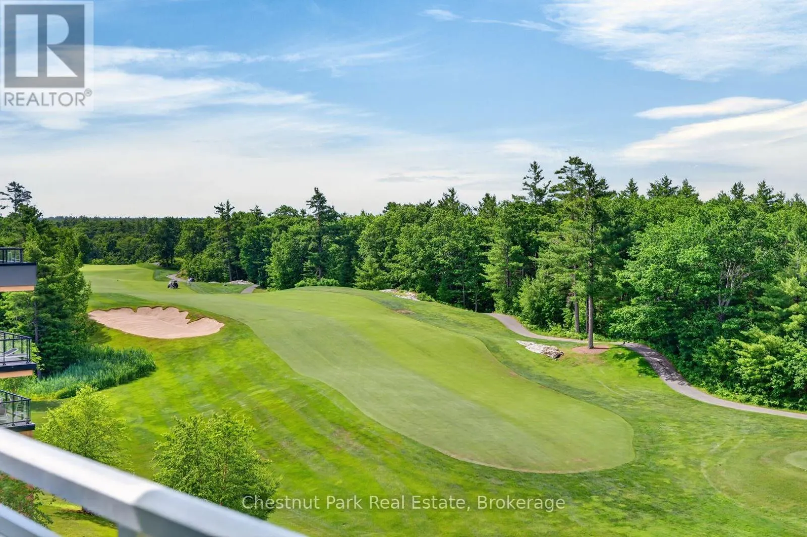 #513 - 100 CARRICK TRAIL ##513