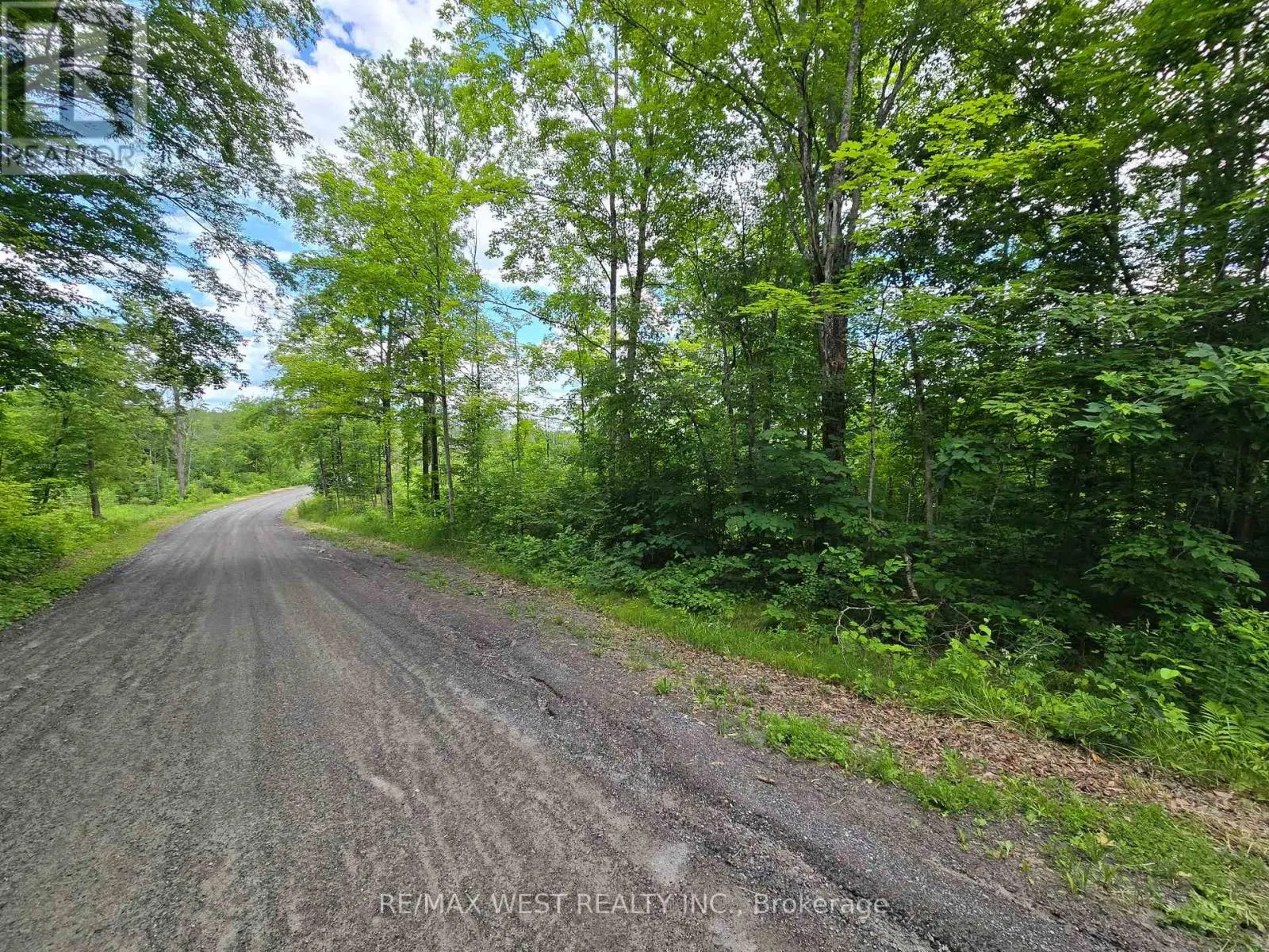 507 BLACK RIVER ROAD
