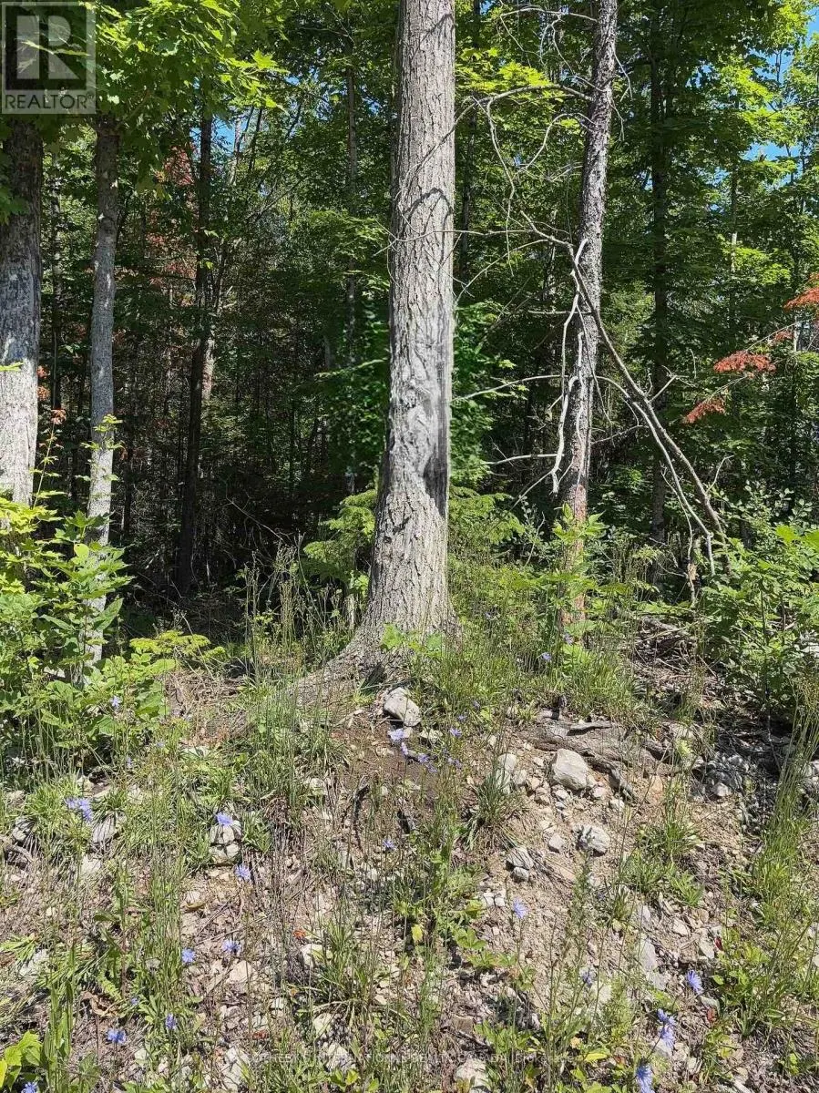 LOT 30 WHITE VALLEY ROAD