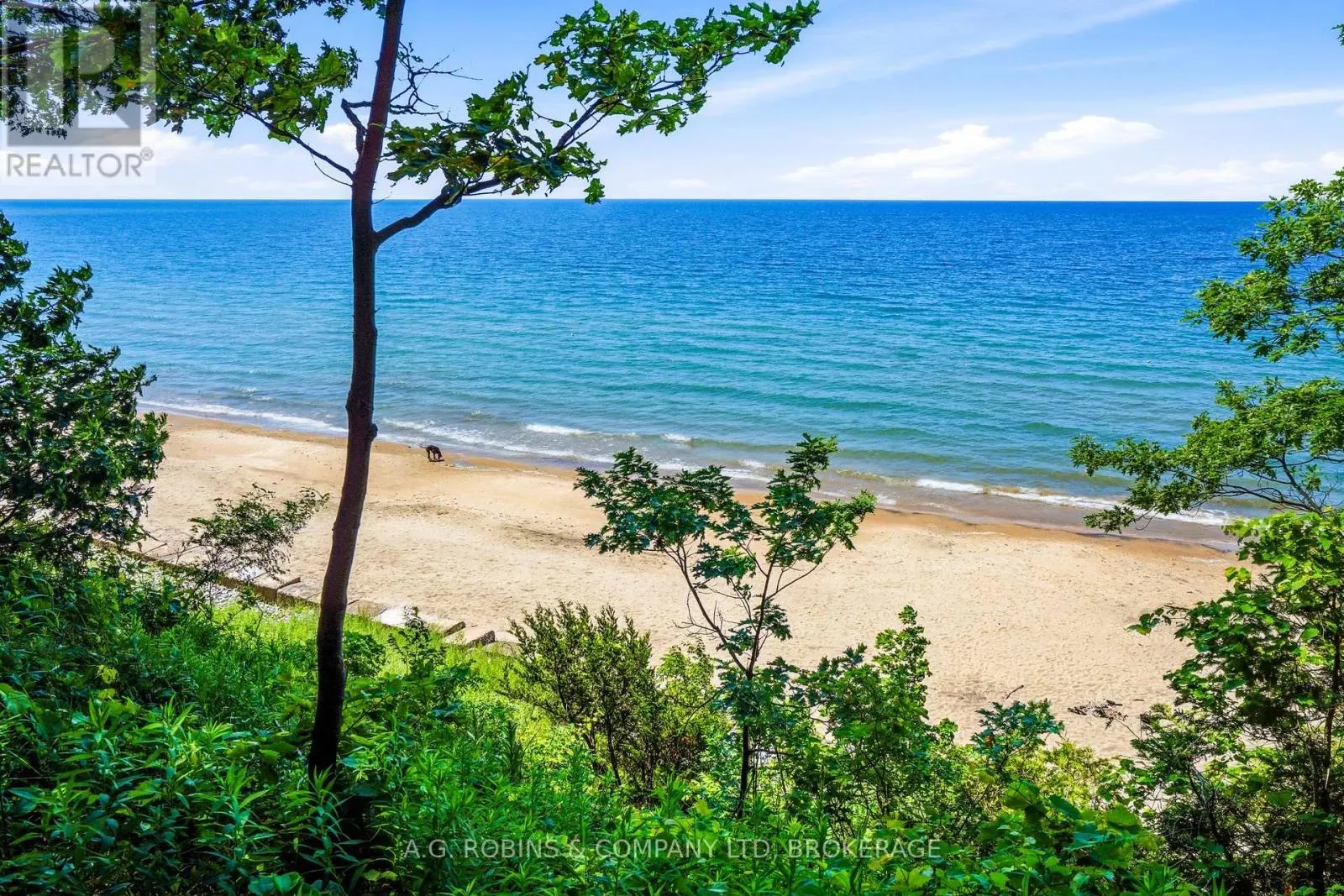 559 LAKESHORE ROAD E