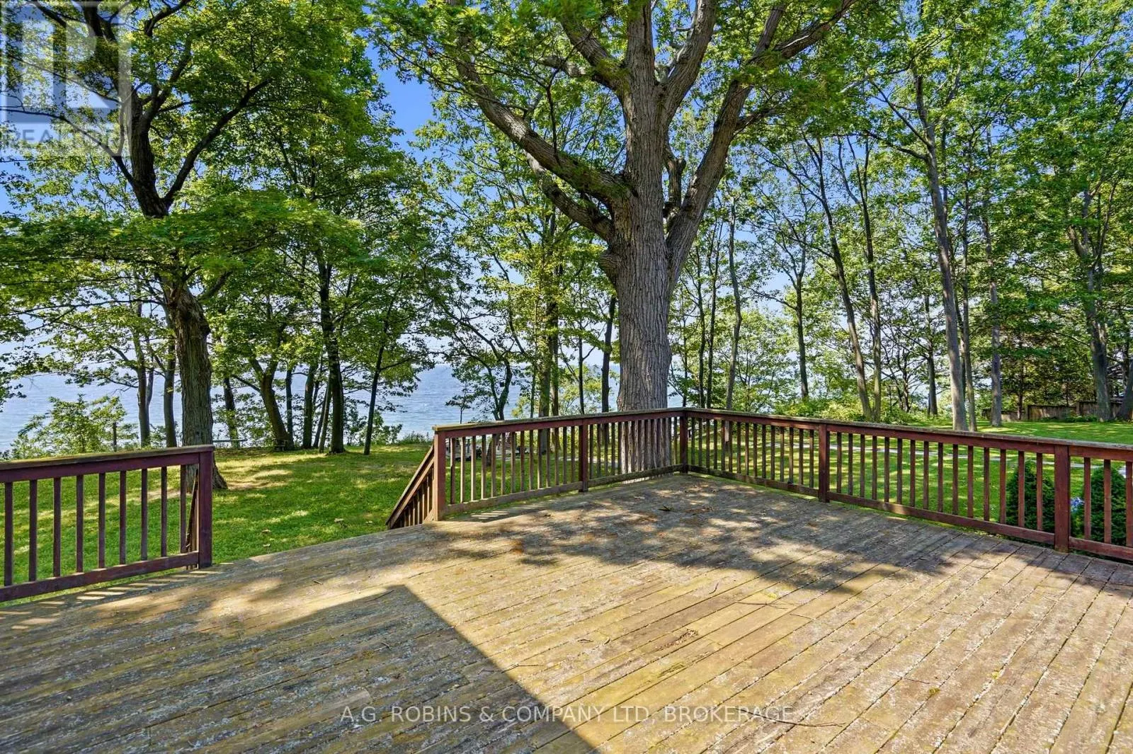 559 LAKESHORE ROAD E