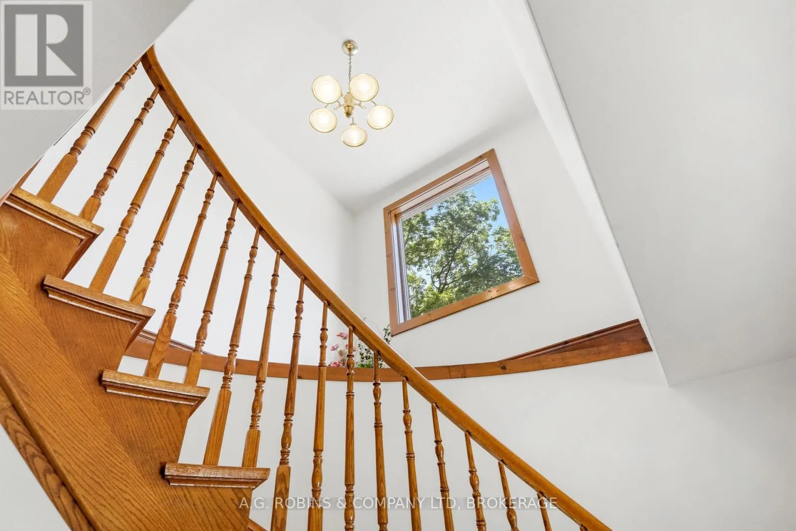 559 LAKESHORE ROAD E