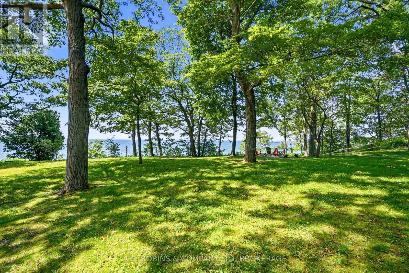 559 LAKESHORE ROAD E