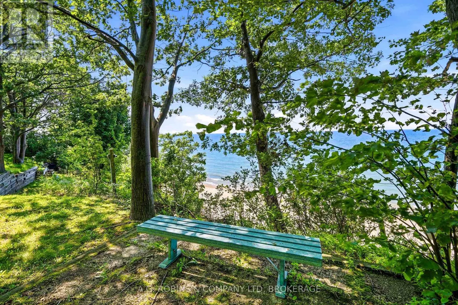 559 LAKESHORE ROAD E