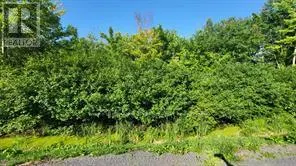 LOT 7 PLAN 246 TOLMIES CORNERS ROAD