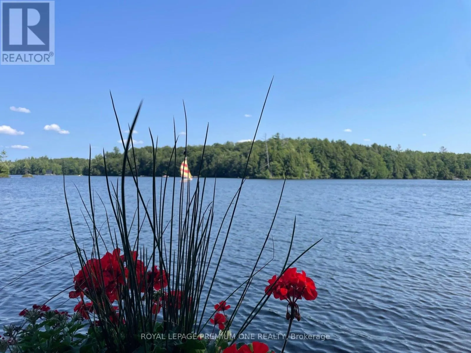 219 CRANE LAKE WATER
