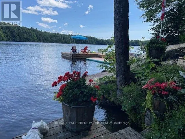 219 CRANE LAKE WATER