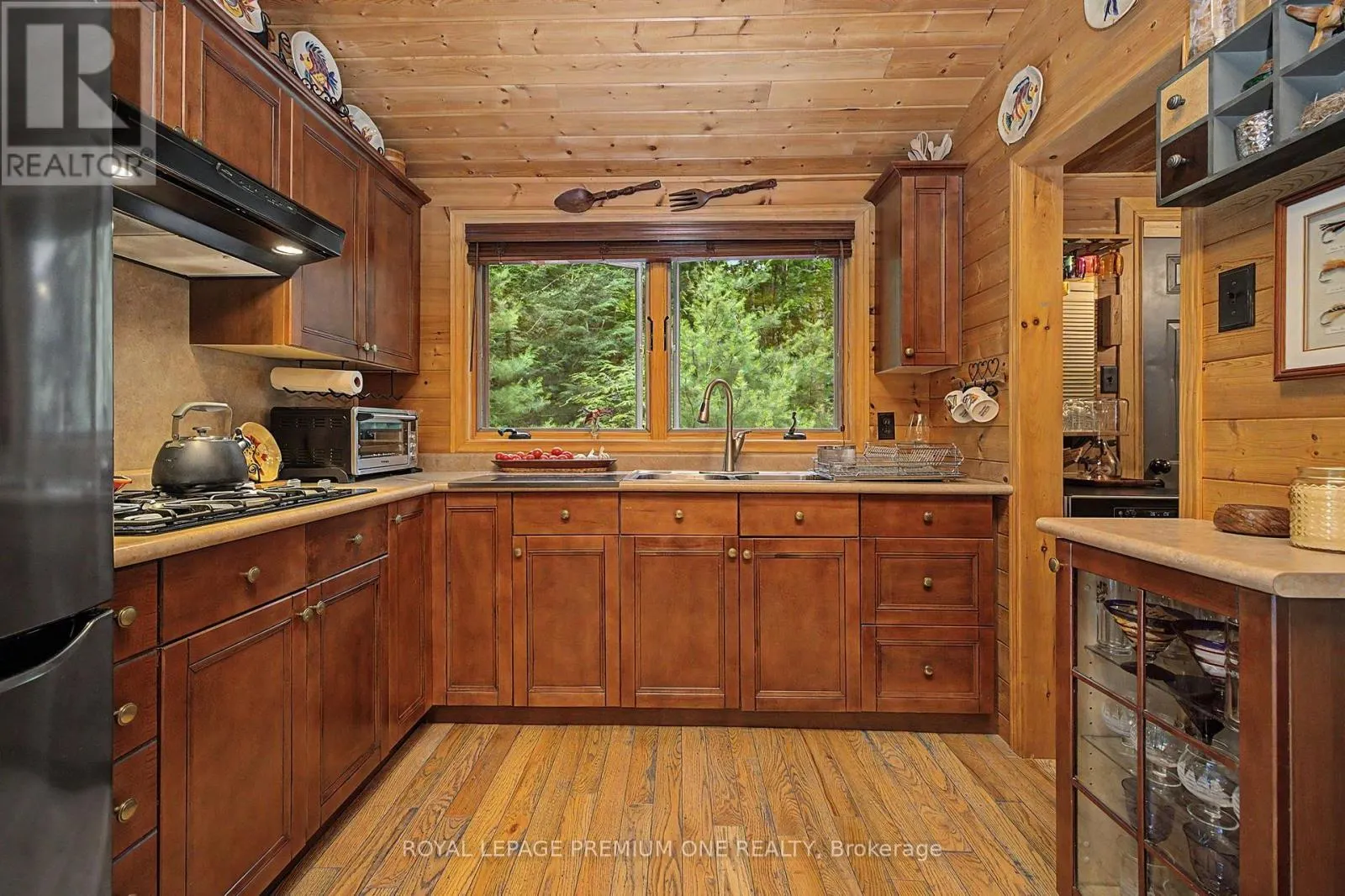 219 CRANE LAKE WATER