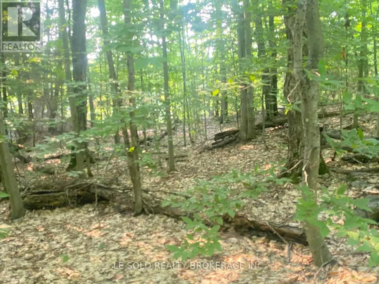 LOT # 7 - 1310 CAMEL LAKE ROAD