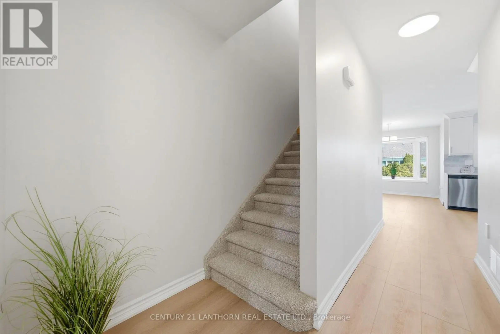 13 NESBITT DRIVE
