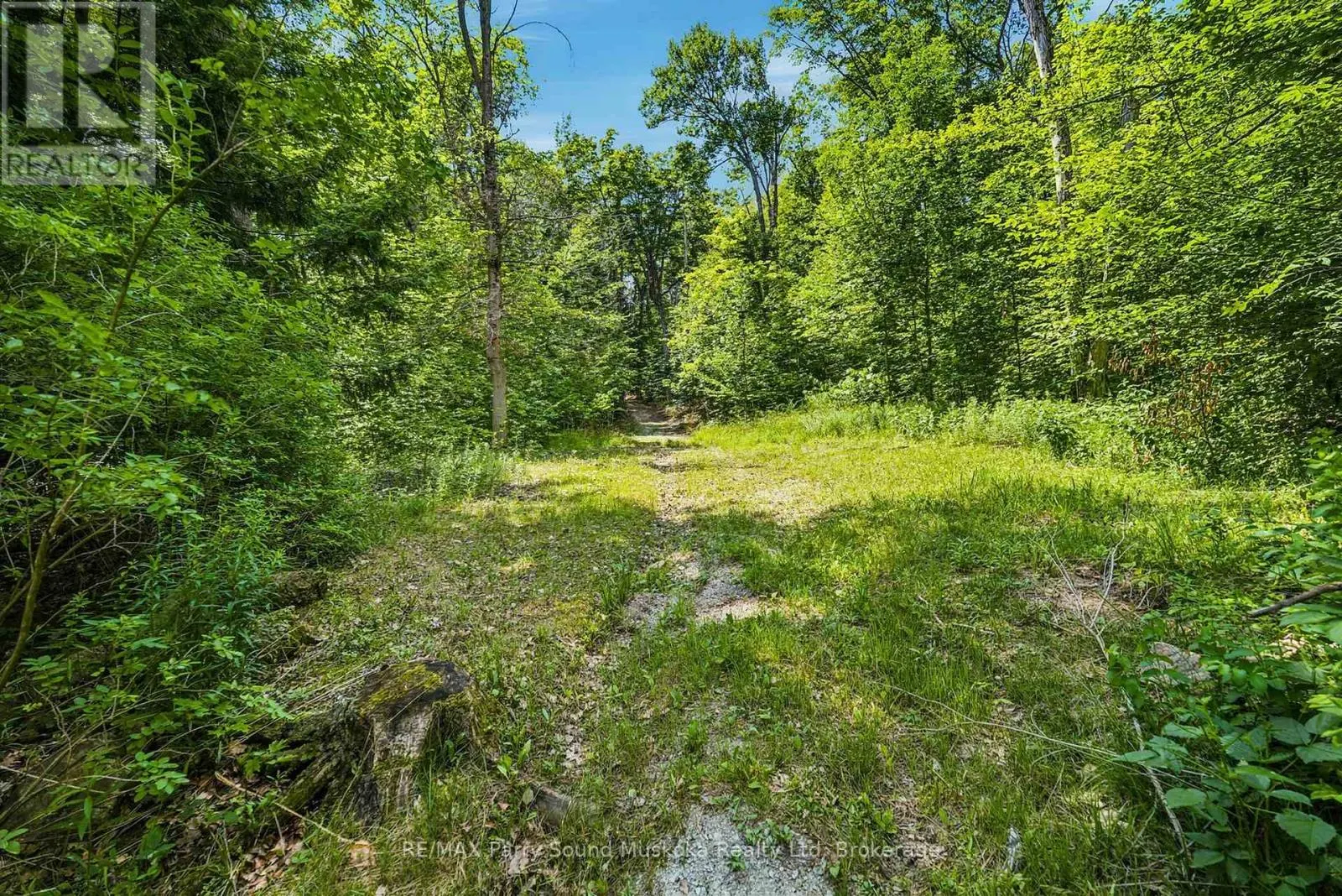24 SOUTH CRANE LAKE ROAD