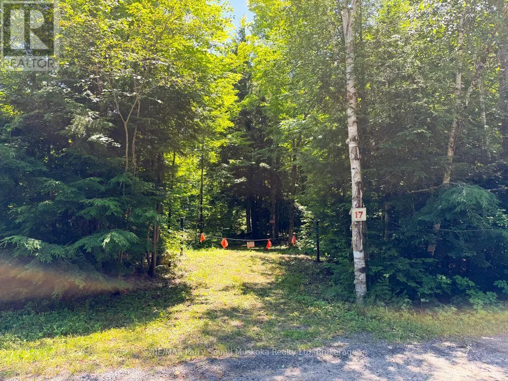17 WHITE BEAVER TRAIL