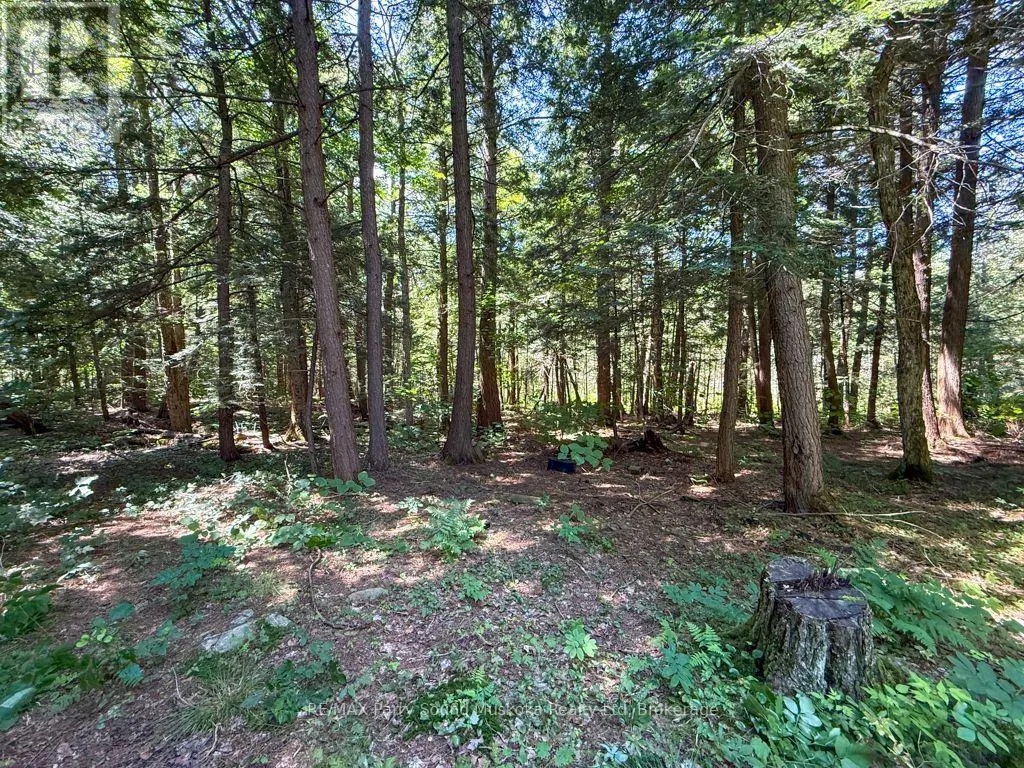 17 WHITE BEAVER TRAIL