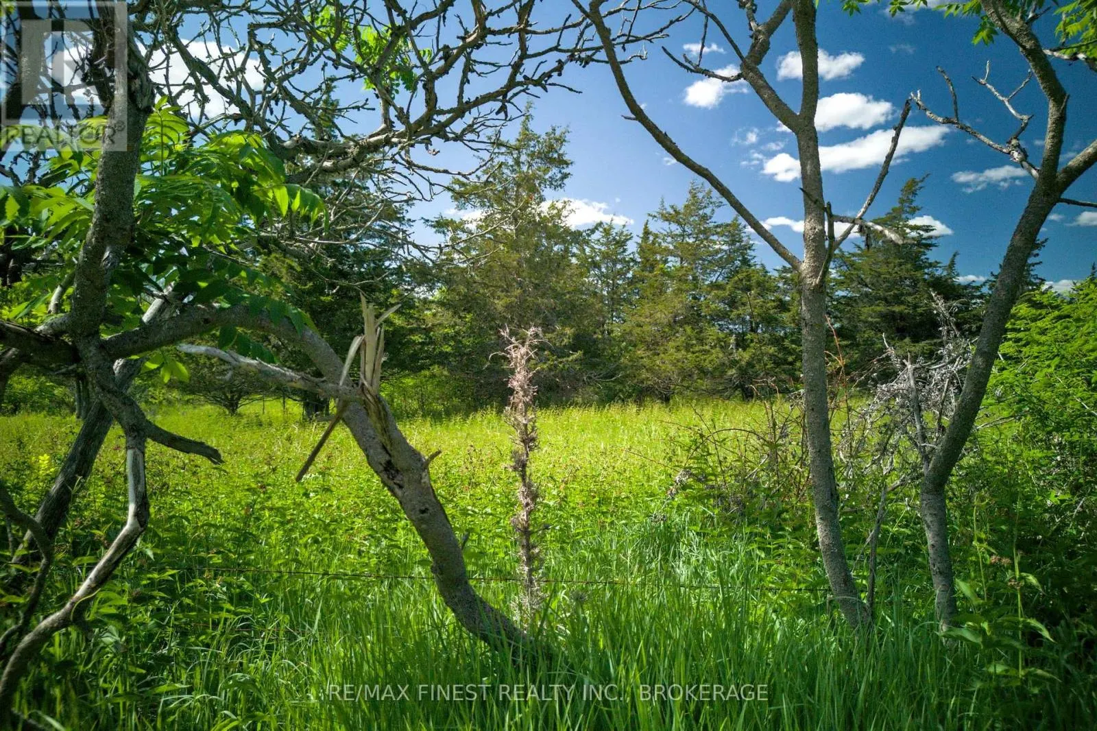 LOT 13 FRONT ROAD