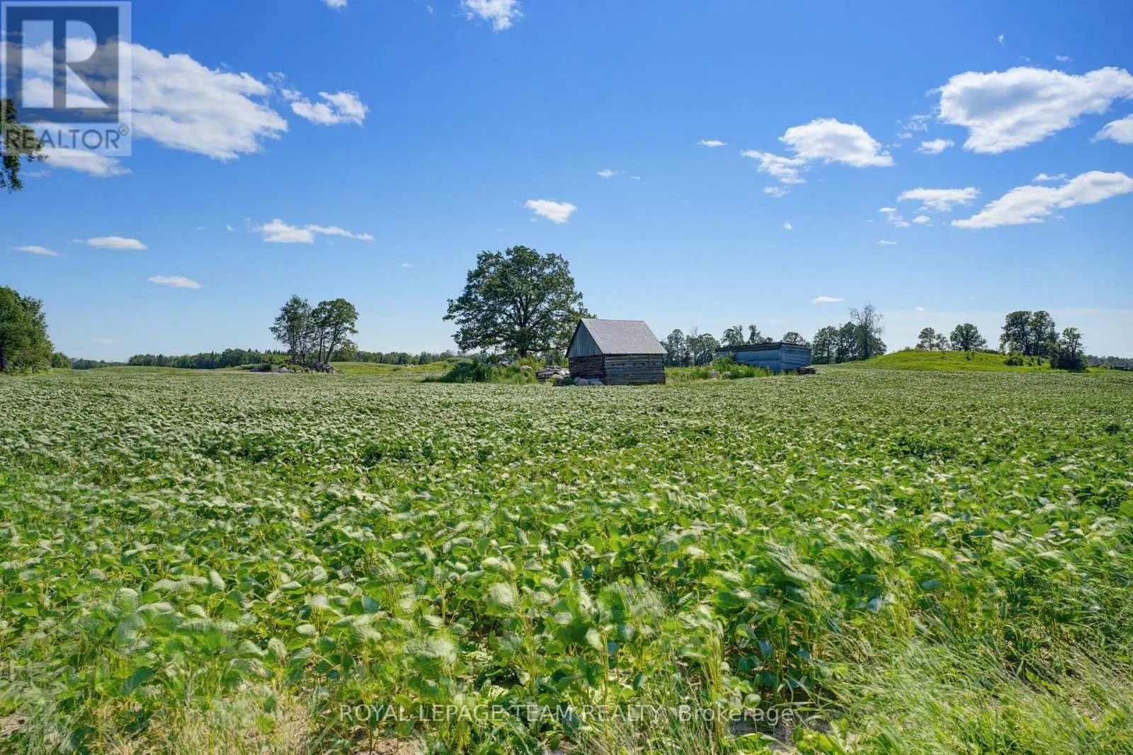 547 MALLOY ROAD